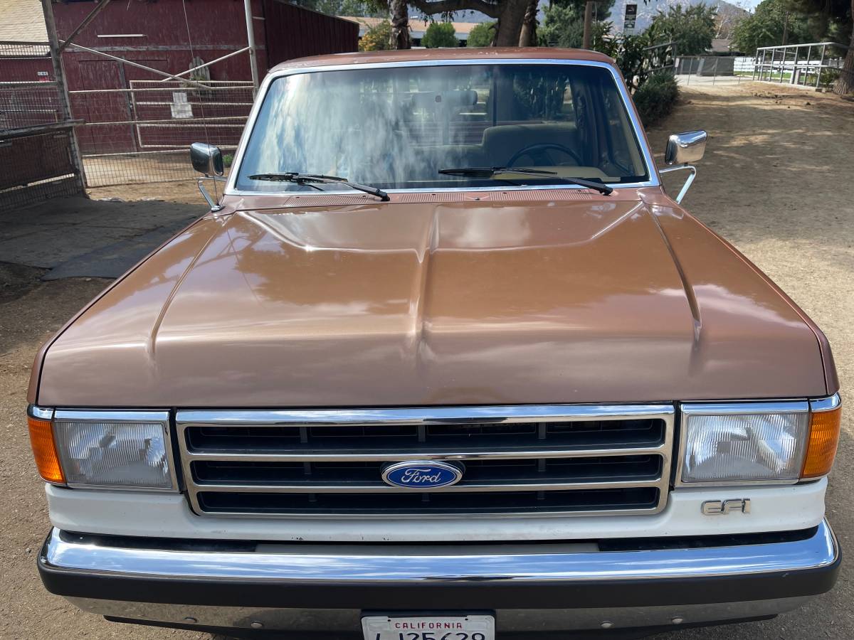 Ford-f-150-1991-brown-1