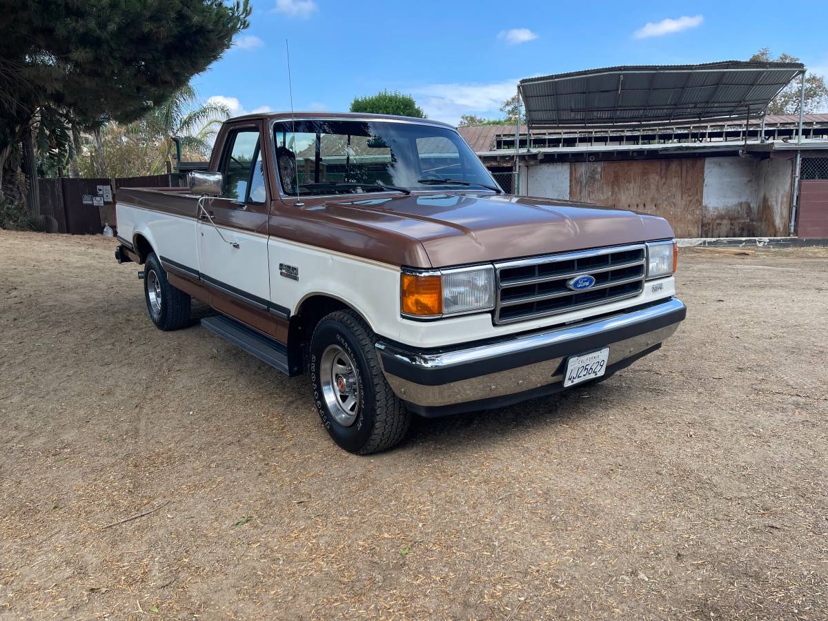 Ford-f-150-1991-brown-10