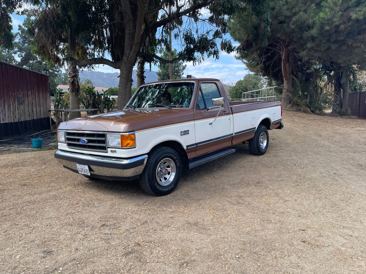 Ford-f-150-1991-brown-11
