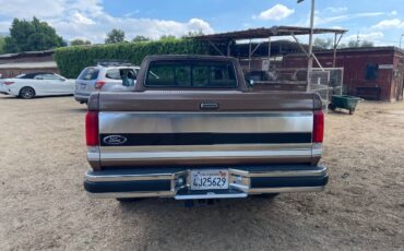 Ford-f-150-1991-brown-12