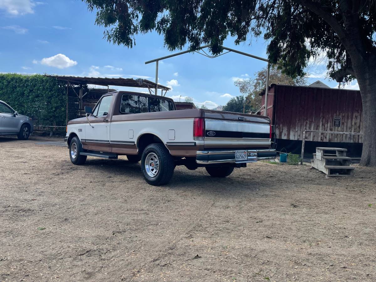 Ford-f-150-1991-brown-13