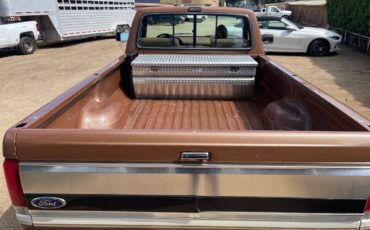 Ford-f-150-1991-brown-3