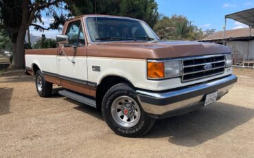 Ford-f-150-1991-brown
