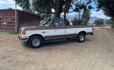 Ford-f-150-1991-brown-4