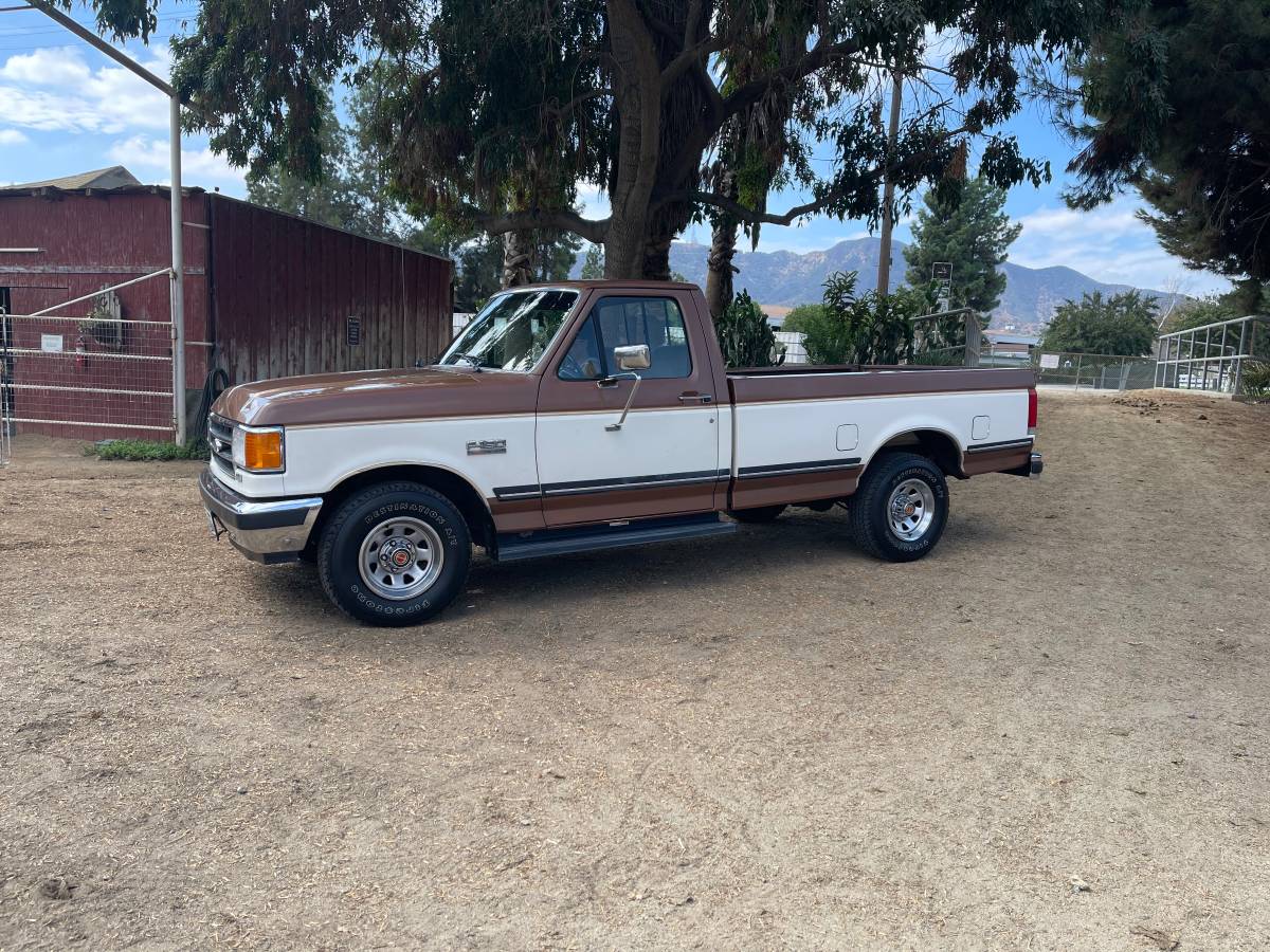 Ford-f-150-1991-brown-4