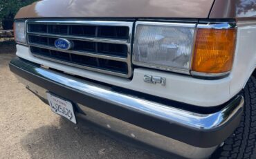 Ford-f-150-1991-brown-5