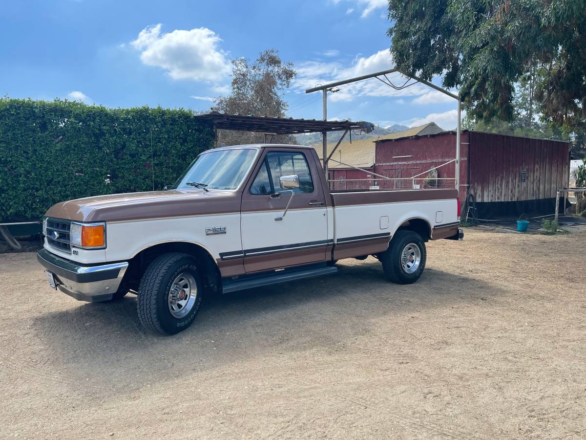 Ford-f-150-1991-brown-6