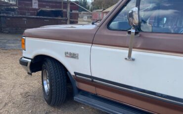 Ford-f-150-1991-brown-8