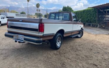 Ford-f-150-1991-brown-9