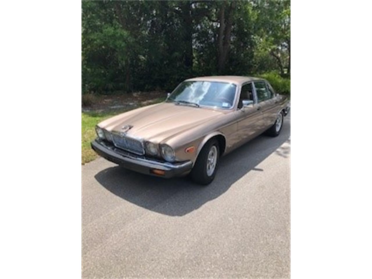 Jaguar-Xj6-1986-Tan-Tan