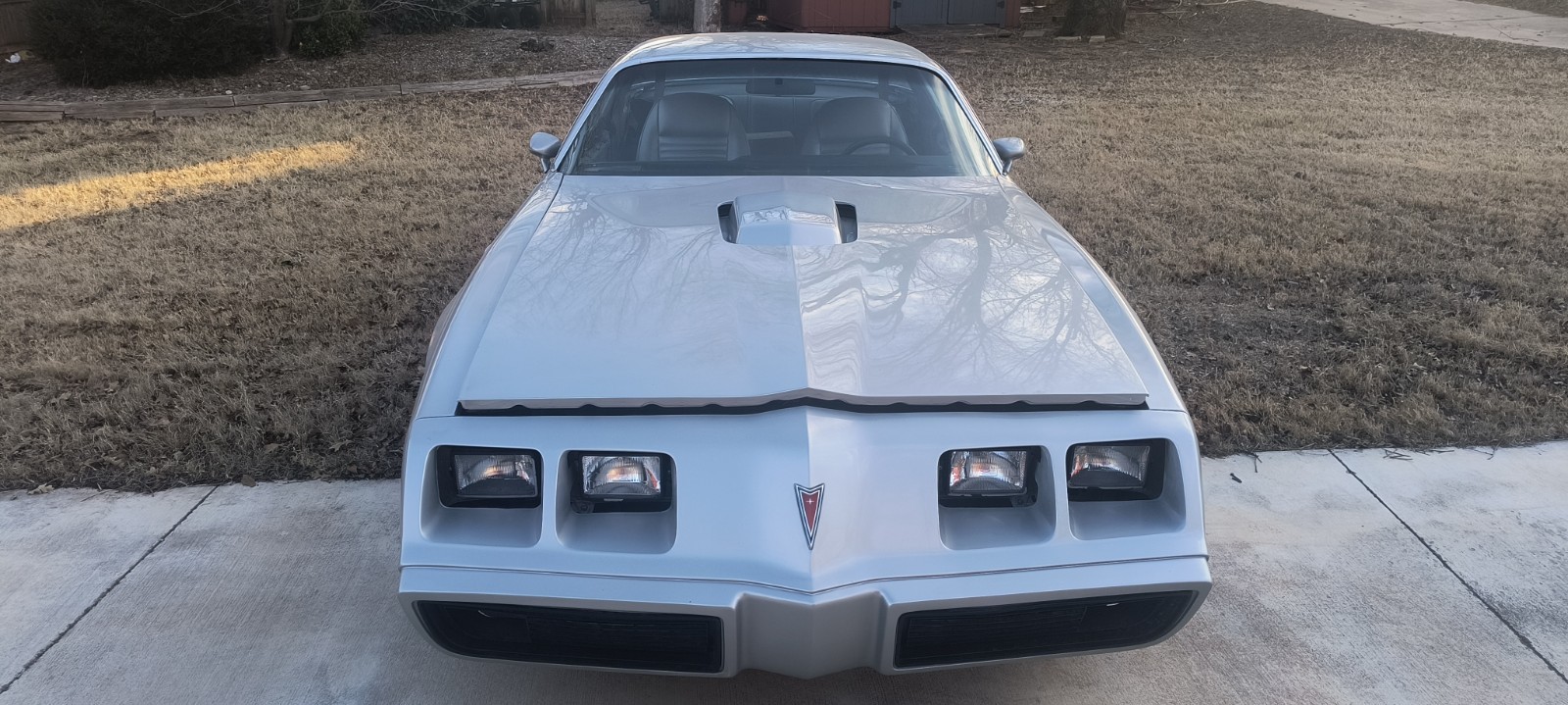 Pontiac Trans Am 1981 Coupe