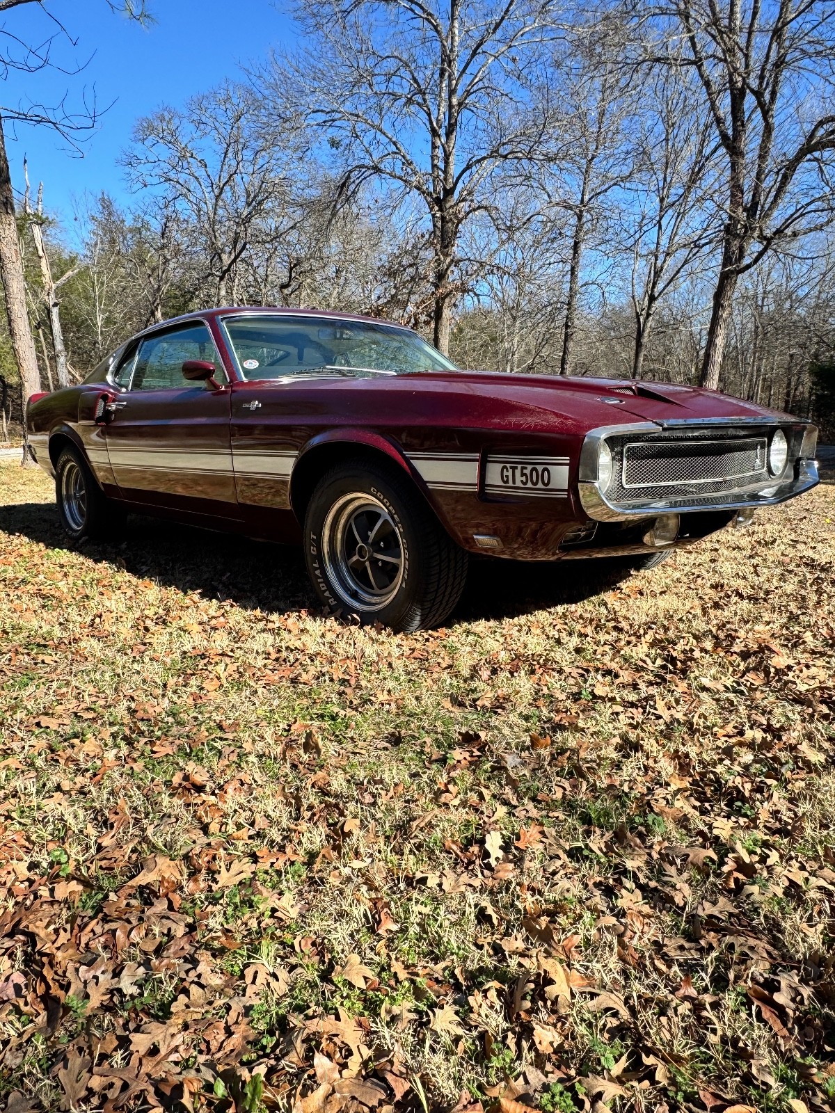 Shelby GT500 1969 Coupe