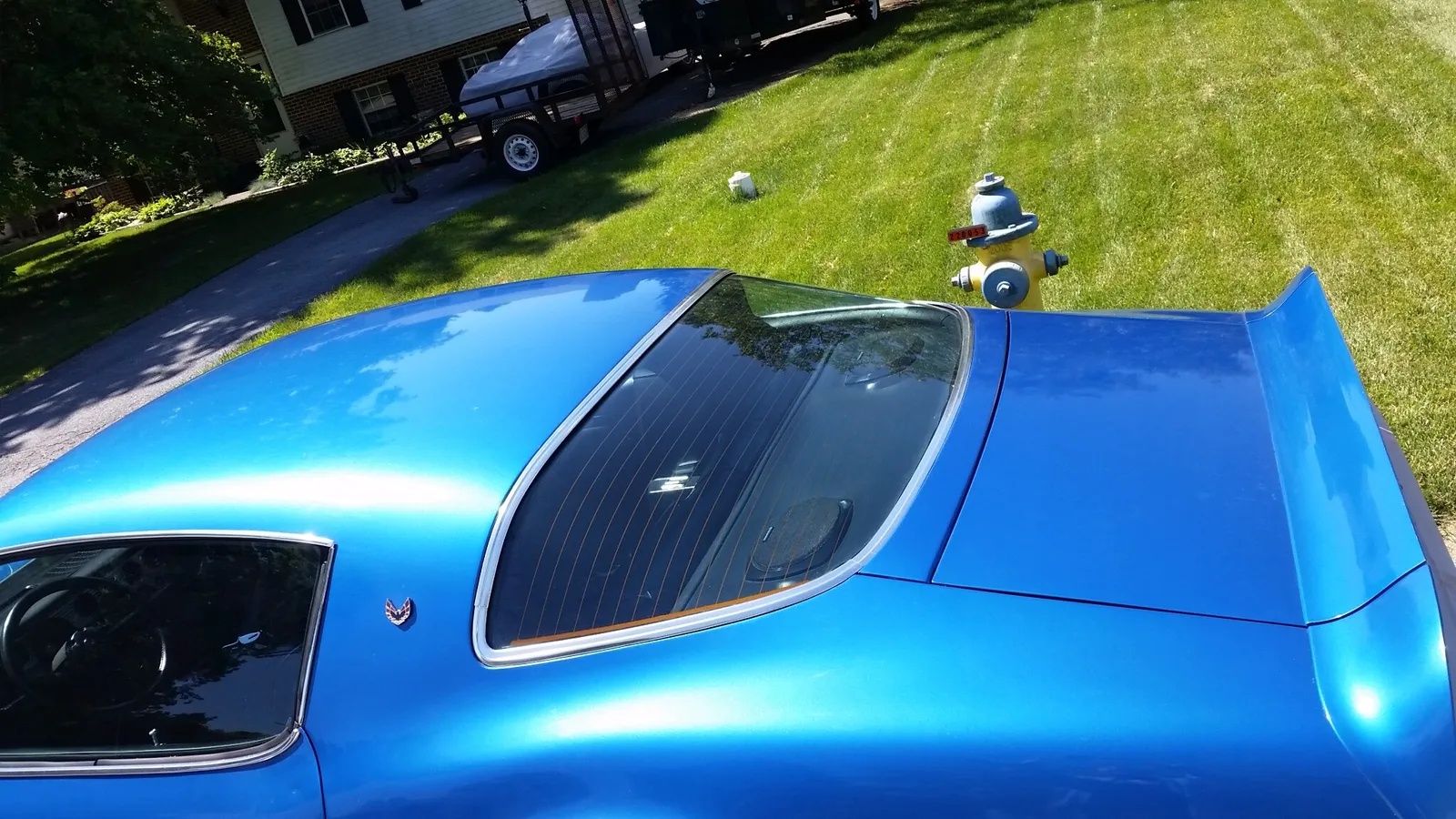Pontiac-Trans-am-1978-Martinque-Blue-Black