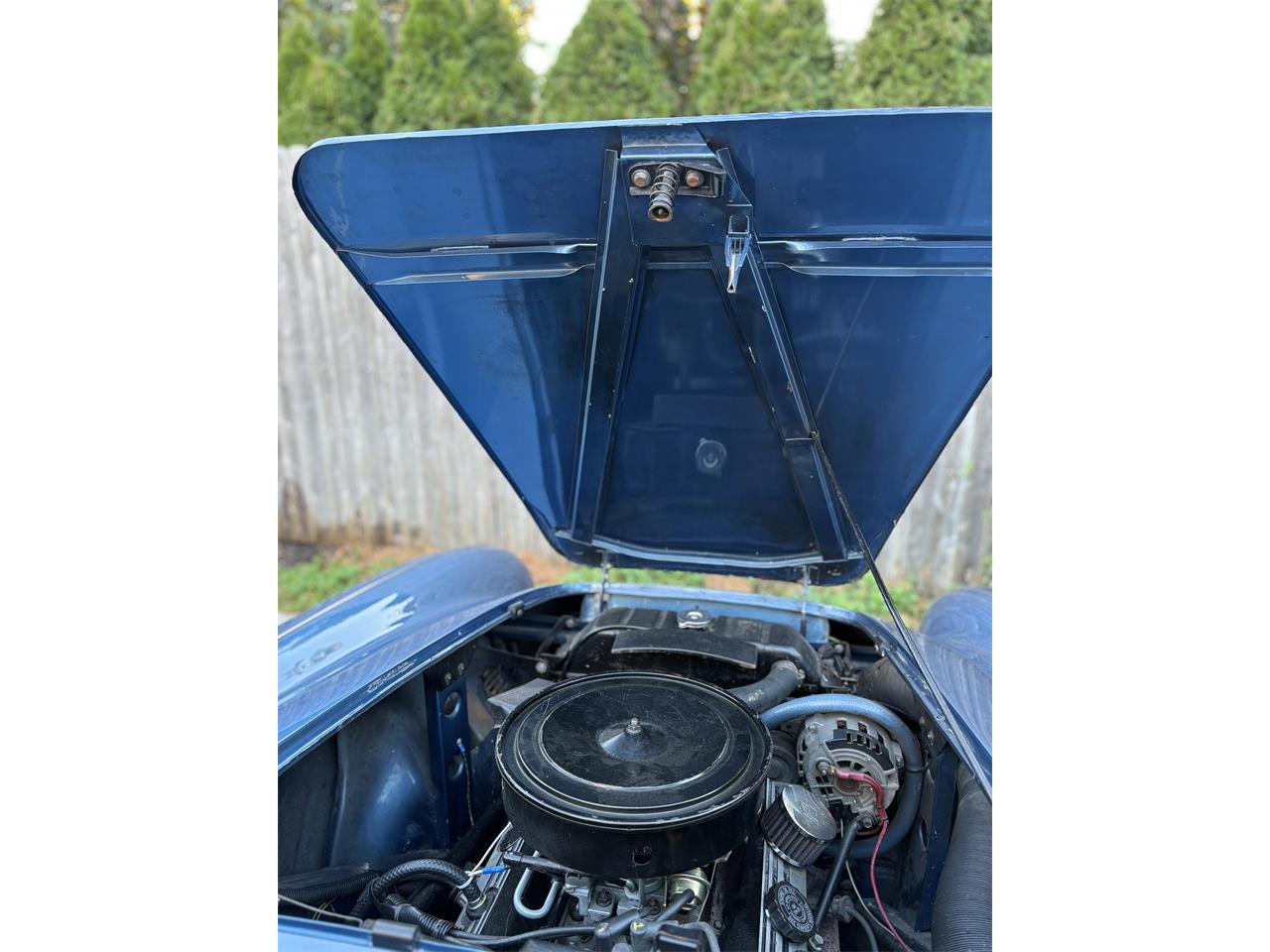 Austin-healey-100-4-1955-Blue-Black