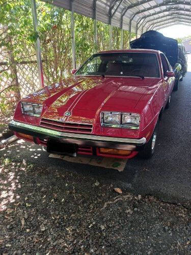 Buick-Skyhawk-1975-Red-Red