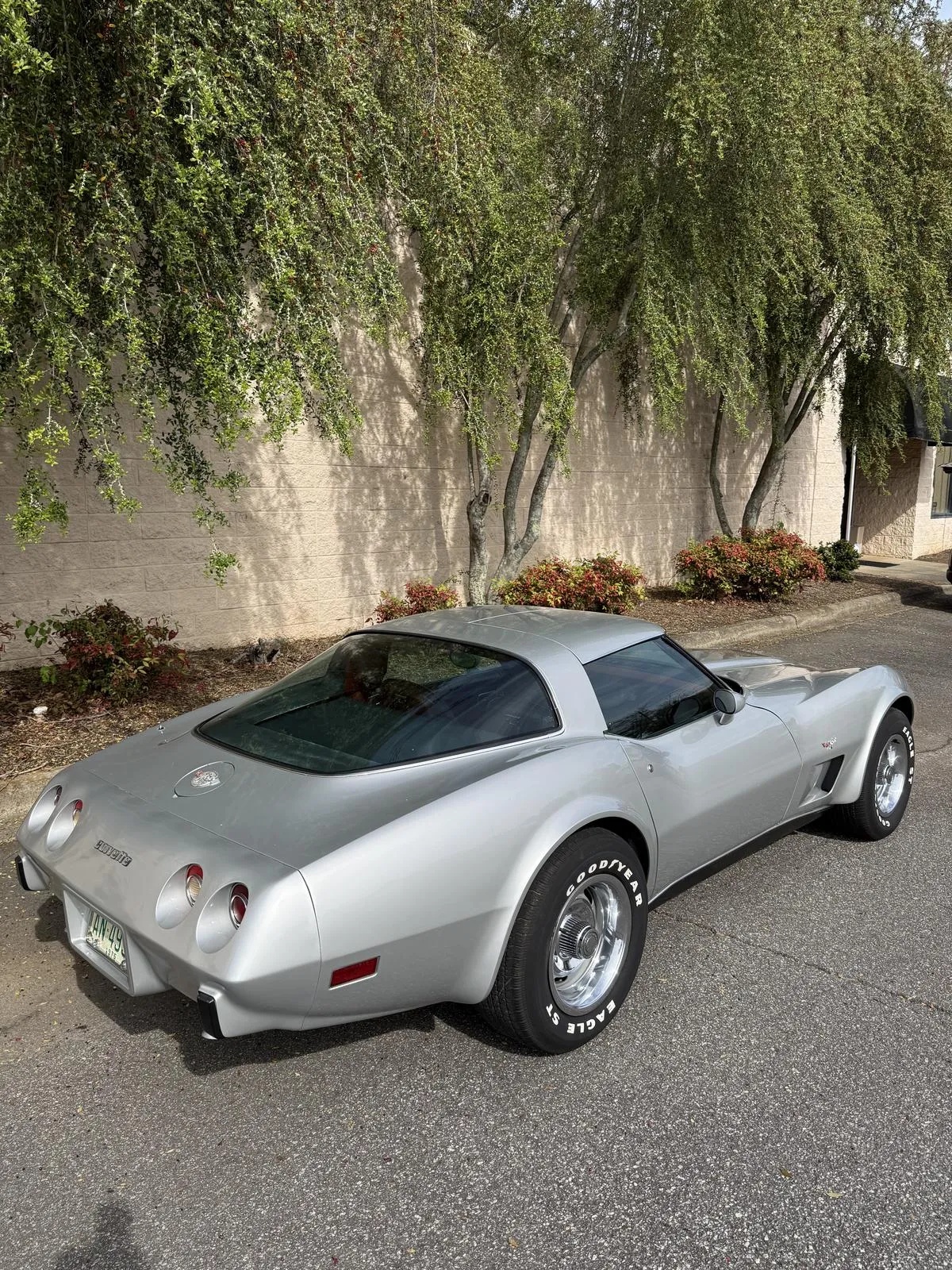 Chevrolet-Corvette-1978-Silver-Dark-Red