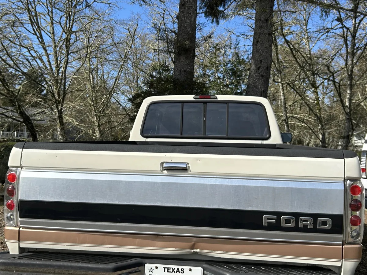 Ford-F-250-1995-Brown-Brown