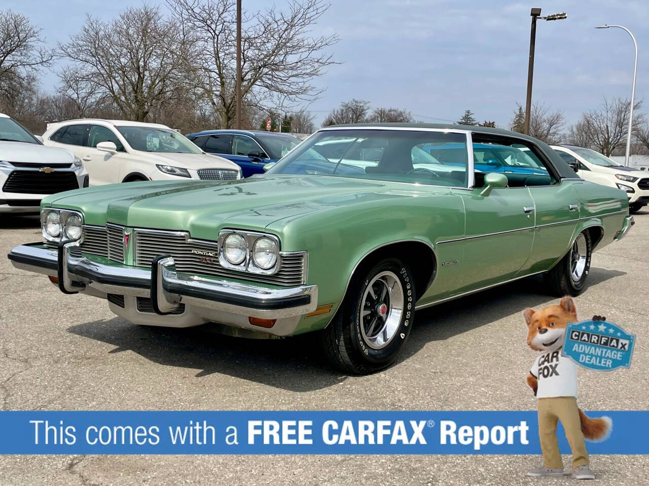 Pontiac-Catalina-1973-Green