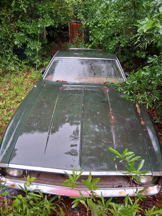 72-mustang-fastback-1972-green