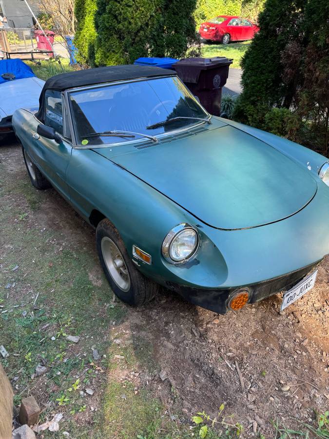 Alfa-romeo-Spider-1979-green