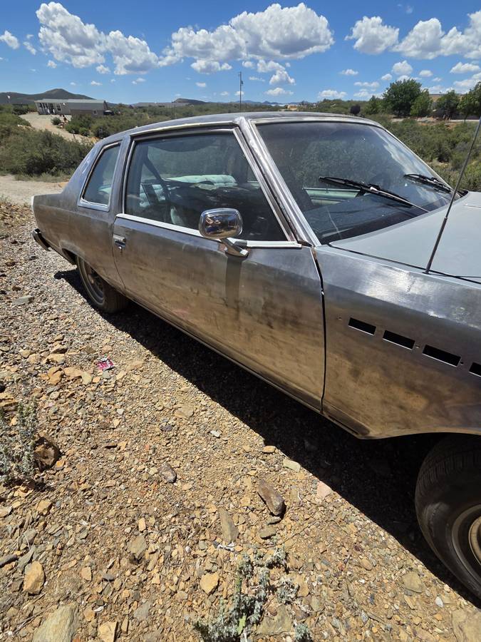 Buick-Electra-1977-custom