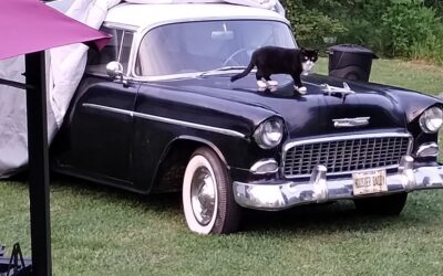 Chevrolet Bel Air 1955