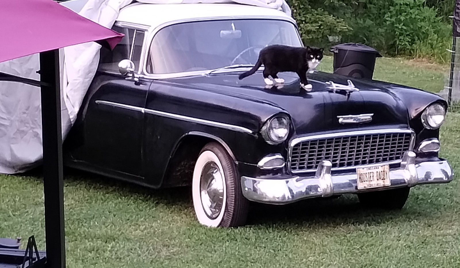 Chevrolet Bel Air 1955