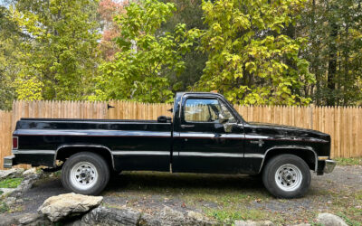 Chevrolet C-10 1983