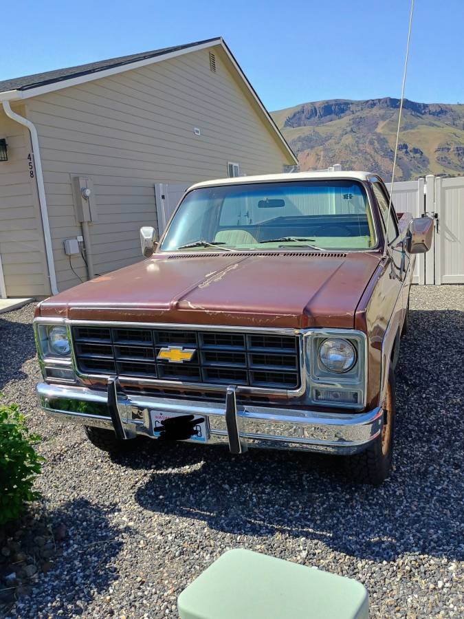 Chevrolet-C-20-1979-brown