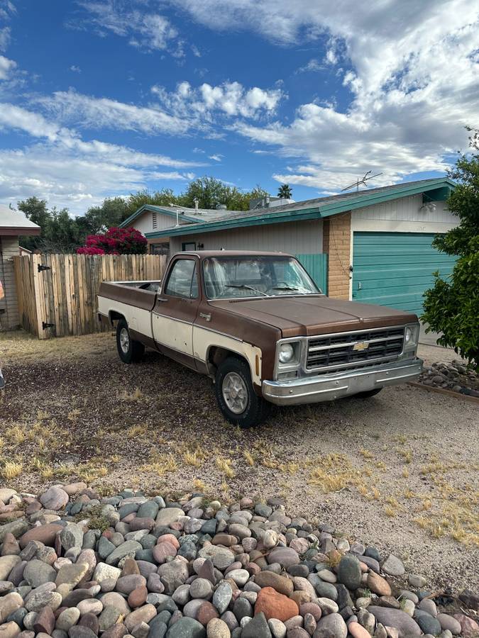 Chevrolet-C10-longbed-1979-brown