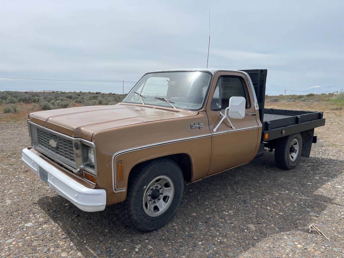 Chevrolet-C20-1974-custom