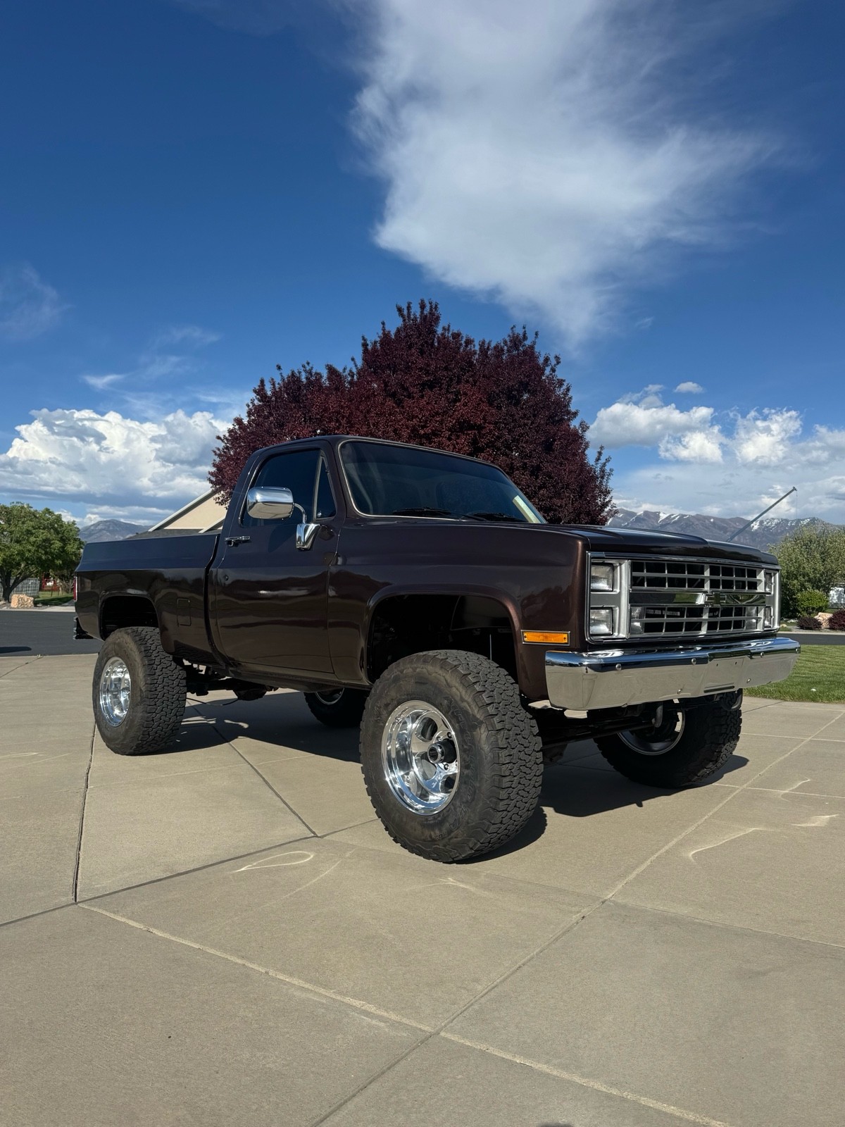 Chevrolet C/K Pickup 1500 1986