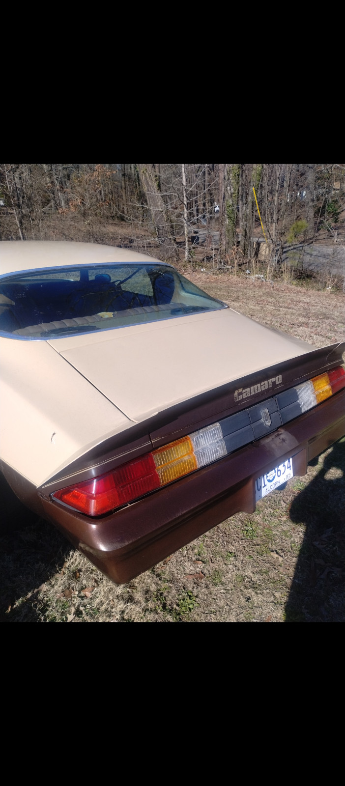 Chevrolet-Camaro-1979-Coupe-Brown
