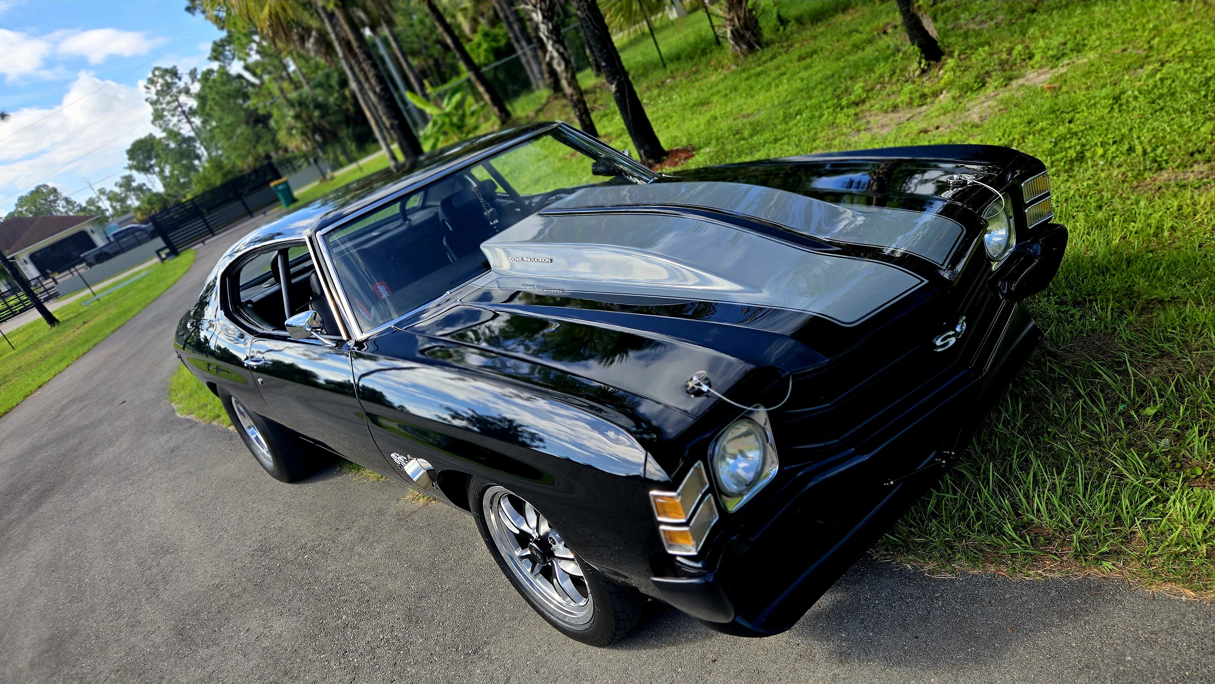 Chevrolet-Chevelle-1971-Black-Black