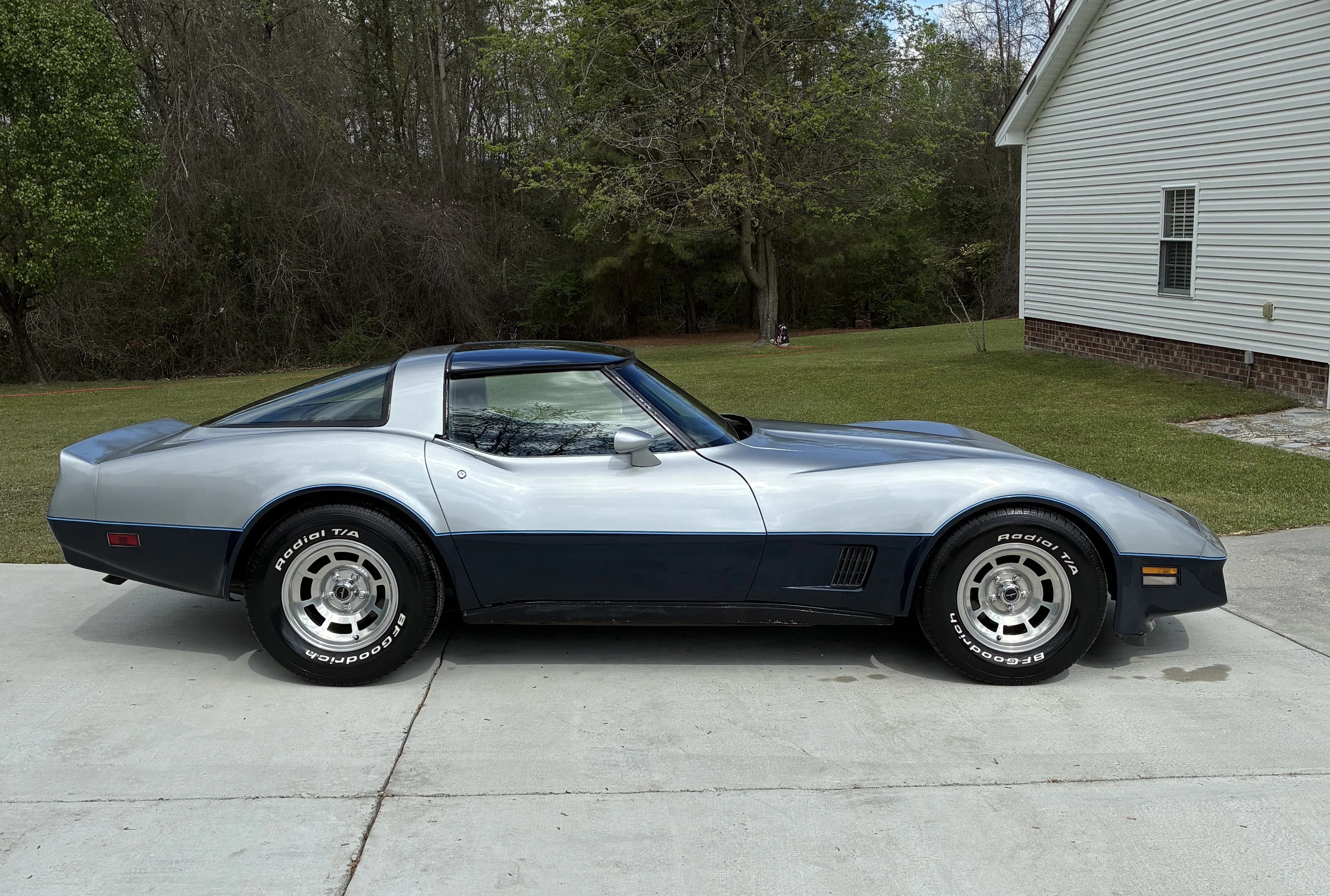 Chevrolet-Corvette-1981-Silver-Blue