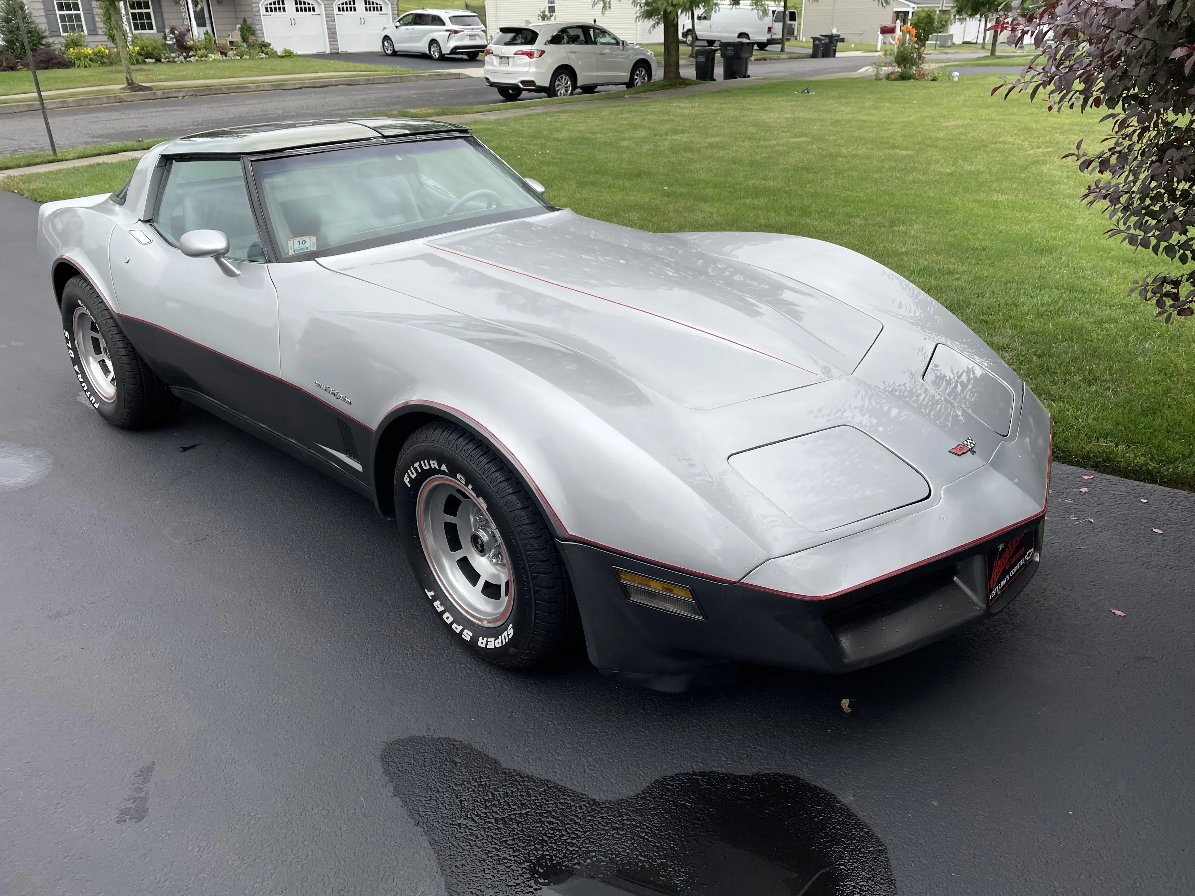 Chevrolet-Corvette-1982-Gray-Gray