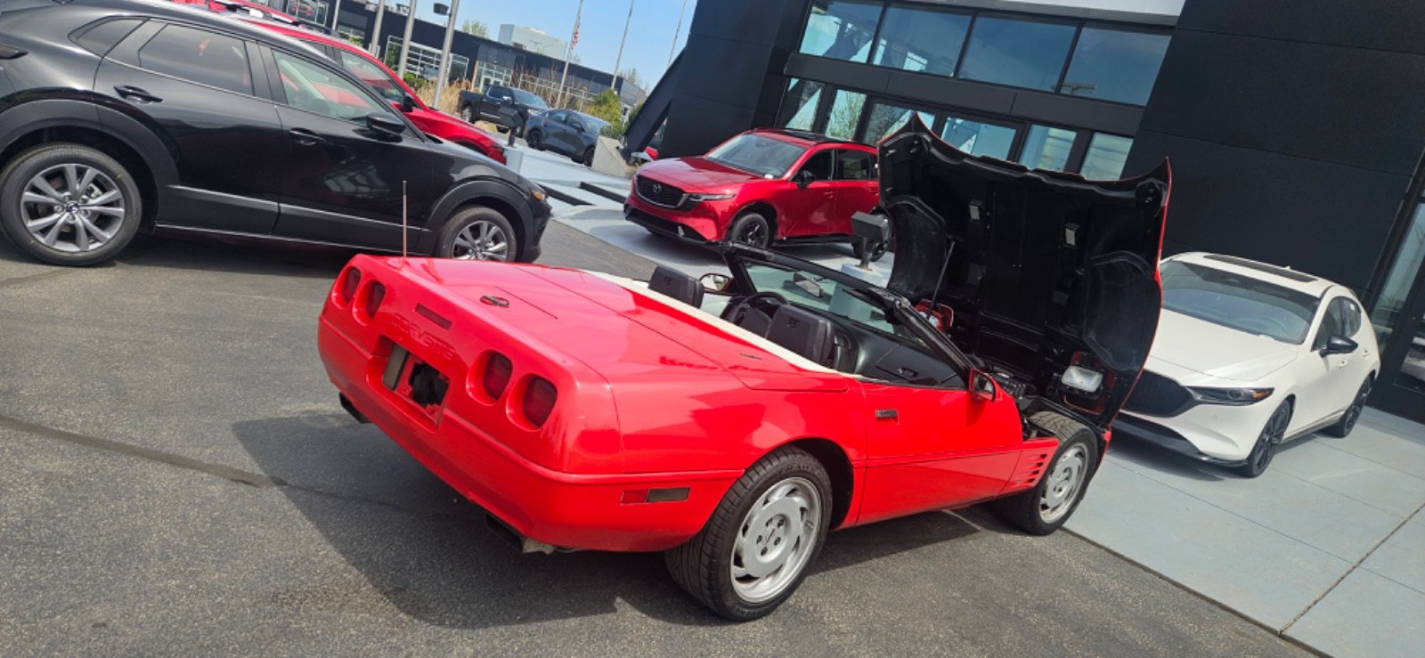 Chevrolet-Corvette-1993-Convertible