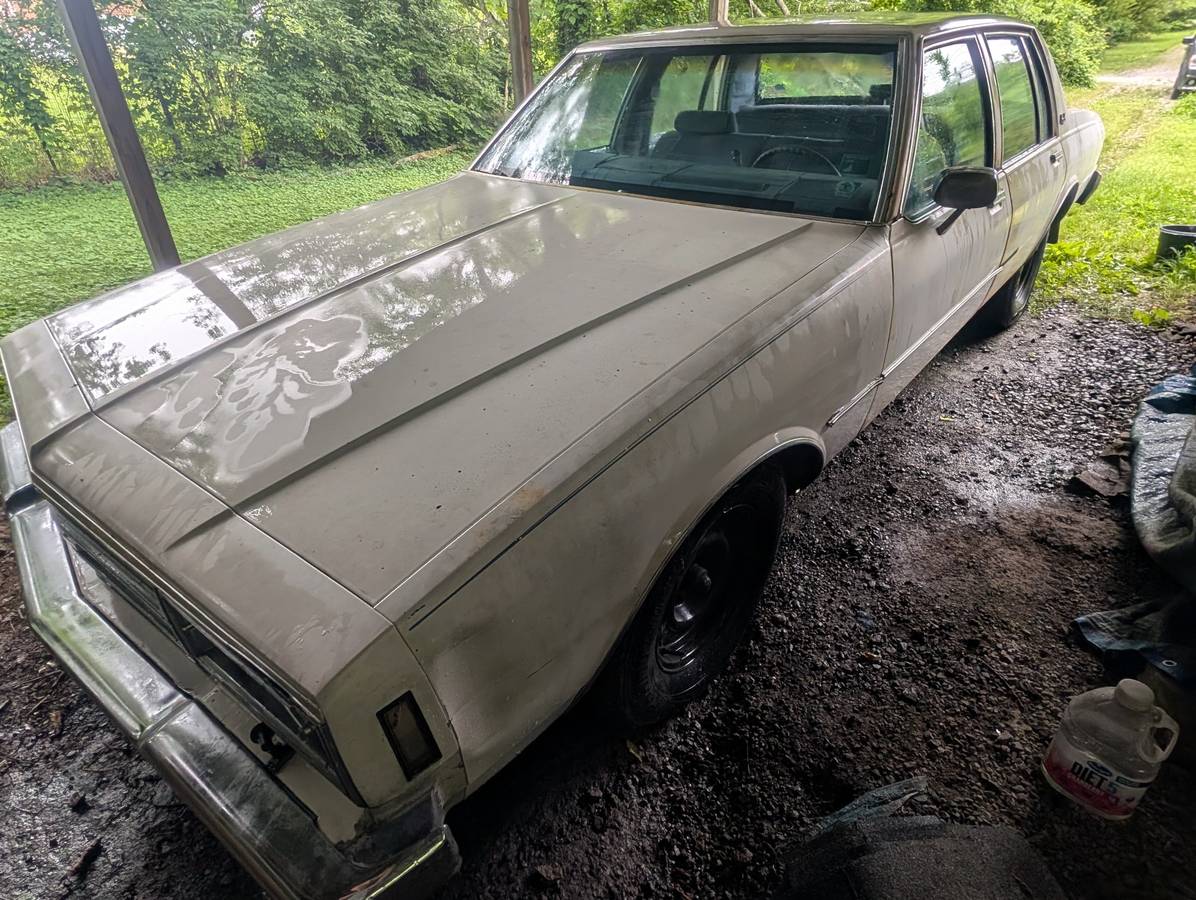 Chevrolet-Impala-1984-white