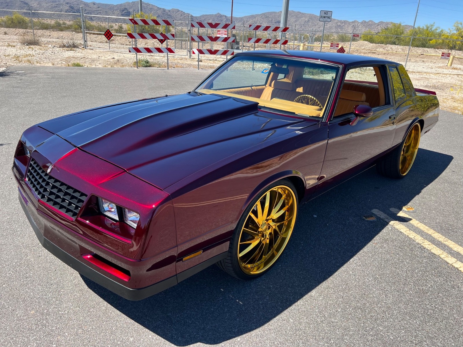 Chevrolet-Monte-Carlo-1984-Coupe-Tan