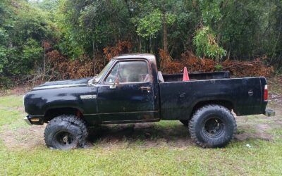 Chevrolet Other Pickups 1979