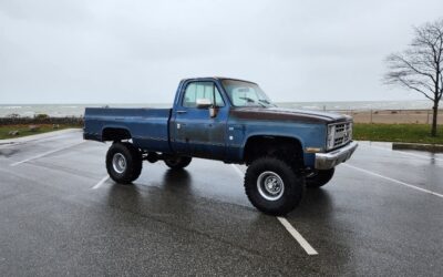 Chevrolet Other Pickups 1981