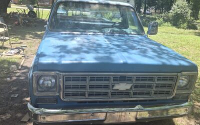 Chevrolet Silverado 1976