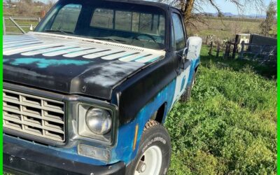 Chevrolet Stepside 1976