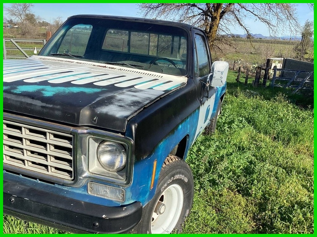 Chevrolet-Stepside-1976-Other-Other-Color