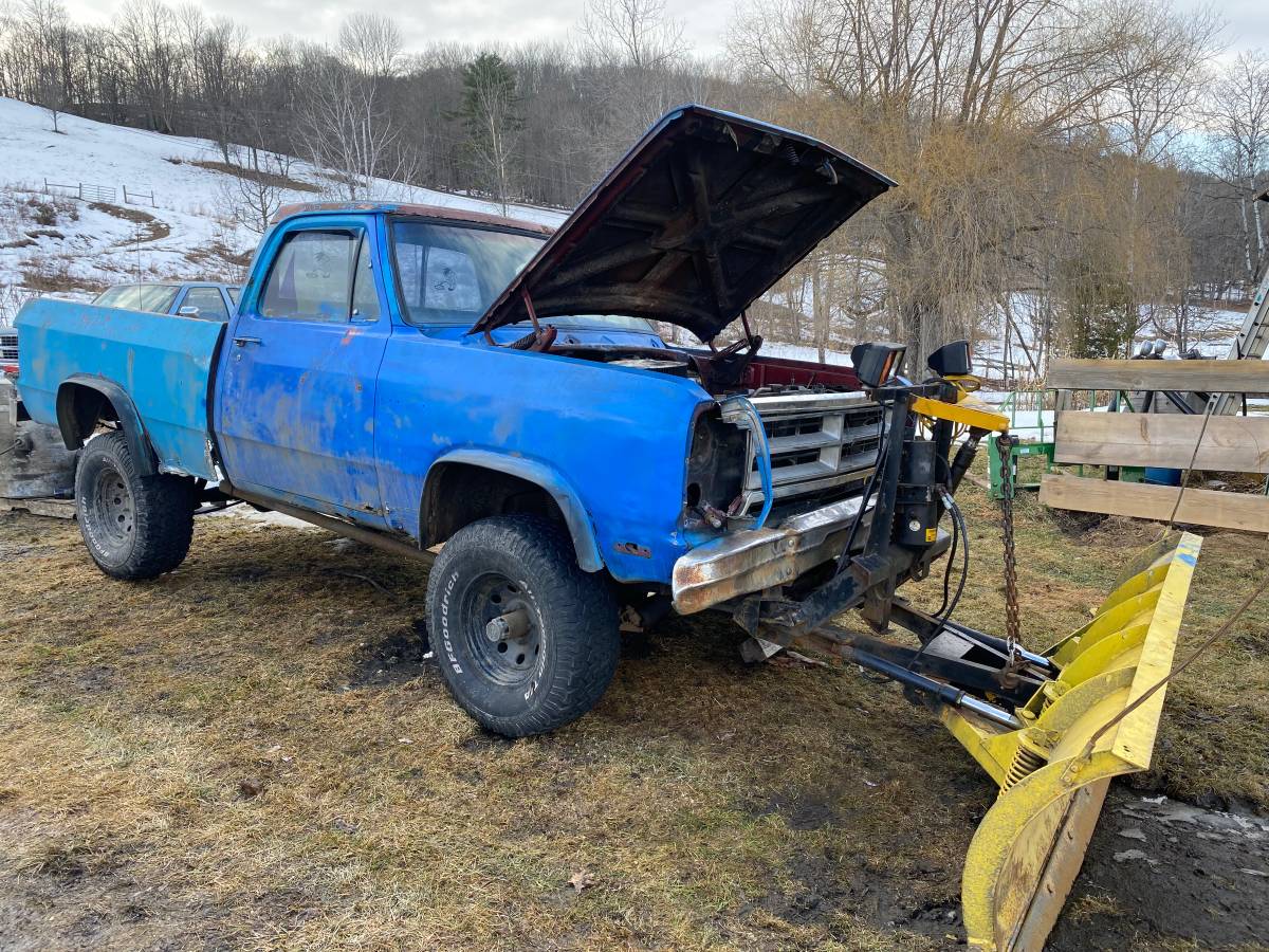 Dodge-1984-blue