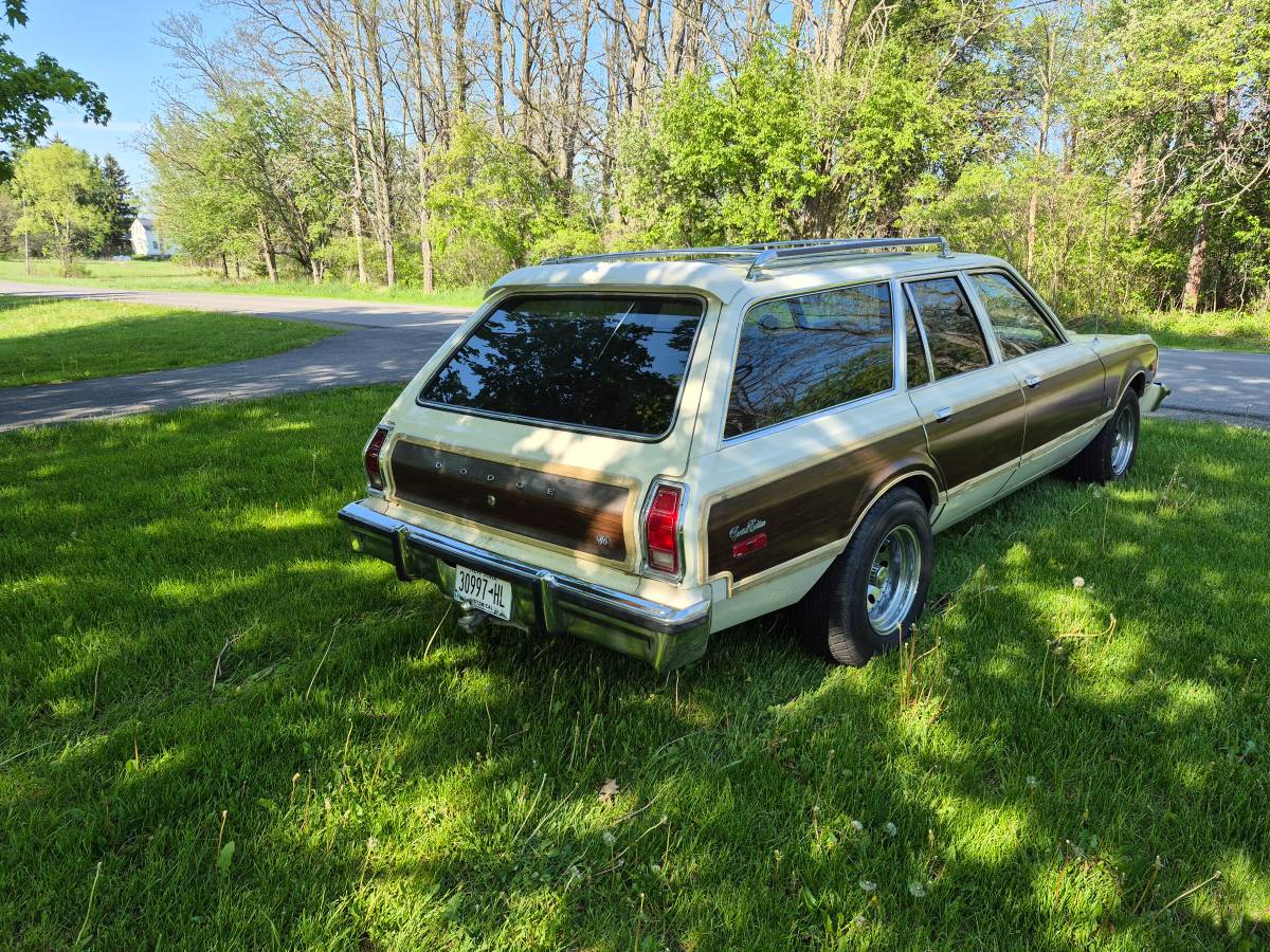 Dodge-Aspen-1976-white