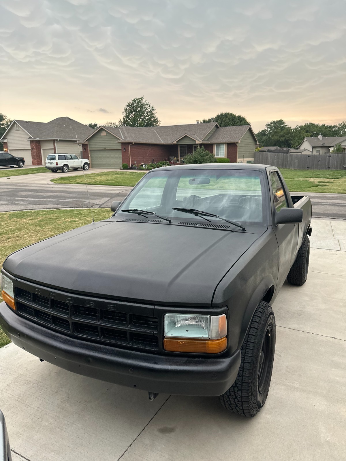 Dodge Dakota 1992