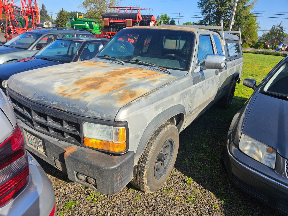 Dodge-Dakota-1993-grey
