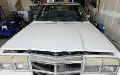 Dodge Diplomat 1987