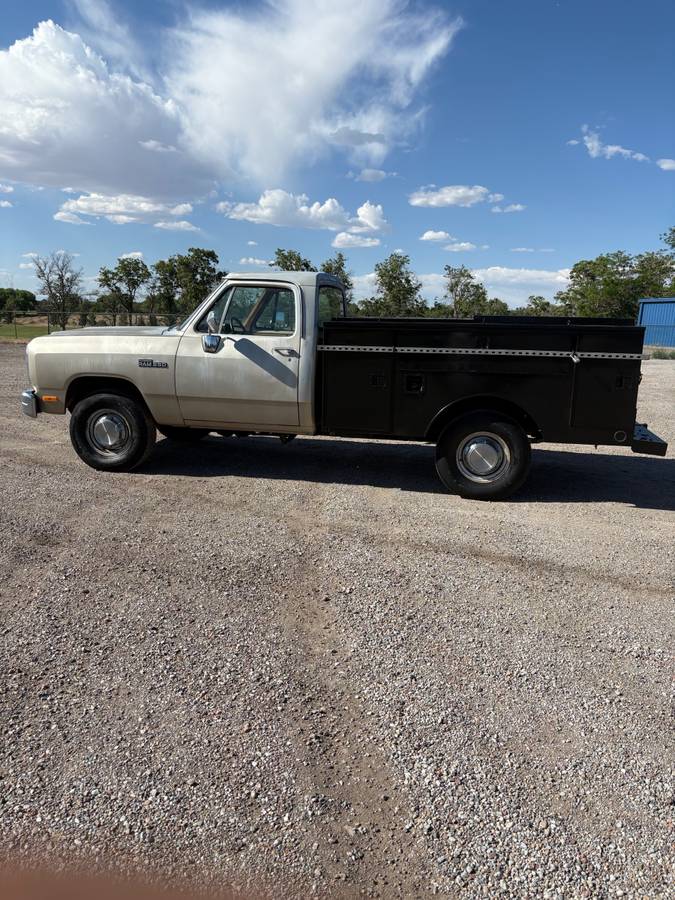 Dodge-Ram-1993-custom